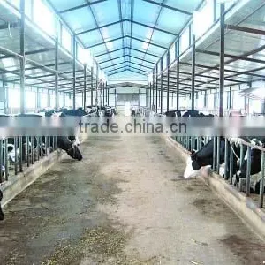 Poultry Farming Building thumbnail-1