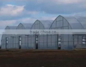 Gothic Arch Greenhouses Plastic Greenhouse Film thumbnail-2