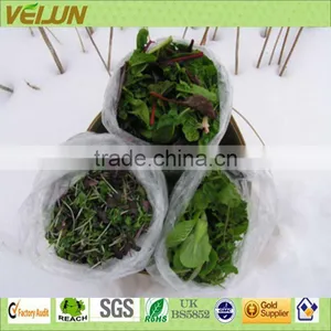 ECO-friendly Nonwoven Vegetable Protection thumbnail-3
