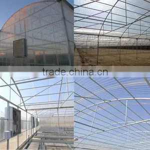 Polycarbonate Agricultural Greenhouse Sheet (Valuview ROMA) thumbnail-1