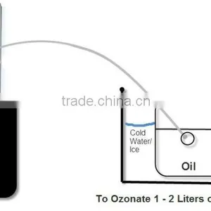 Multi Purpose Ozonizer Aquarium Air Stone 3000mg Laundry Ozone Generator for Water Tank thumbnail-6