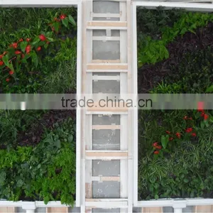Anti uv Hotsale Home Decor Fake Green Wall for Indoor and Outdoor Decor thumbnail-3