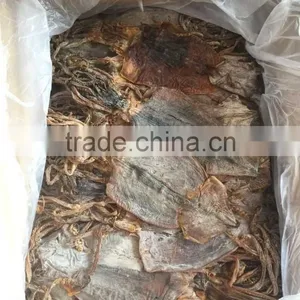 Dried North Korea Squid 3L thumbnail-1