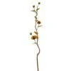 Sell Dried Flowers thumbnail-1