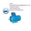 YB2D Series Flameproof Three Phase Asynchronous Motor thumbnail-1