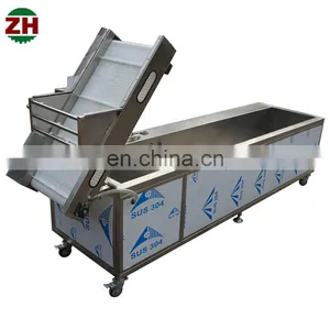 Customized Commercial Ozone Vegetable Washer Fruit and Vegetable Washing Machine thumbnail-5