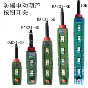 Electric Block Button Explosion-proof Handle Switch Explosion Control Button BAK21 BAK31 BAK41 thumbnail-1