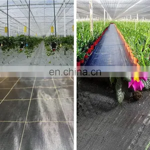 Manufacture 90-110gsm Direct PP Weed Mat Ground Cover Greenhouse Agriculture thumbnail-5