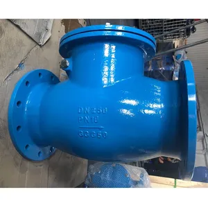 BS Standard 5153 CastI Iron PN16 NRS Non-return Valve Flange Swing Check Valve thumbnail-6