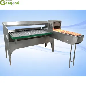 Automatic Egg Grading Machine Egg Grader Automatic Chicken Egg Sorting Machine thumbnail-4