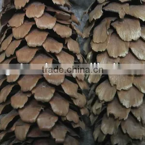 Christmas Tree Decoration Natural Pine Cone thumbnail-1