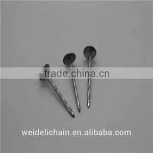 Galvanized Roofing Nail/ Umbrella Head Twisted Shank Roofing Nails thumbnail-1