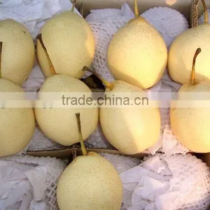 2013 Chinese Fresh Ya Pear thumbnail-1