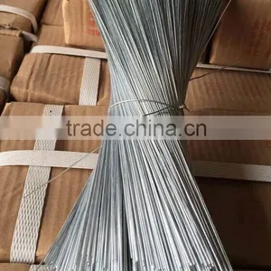 Galvanized Stainless Steel Straight Wire thumbnail-1