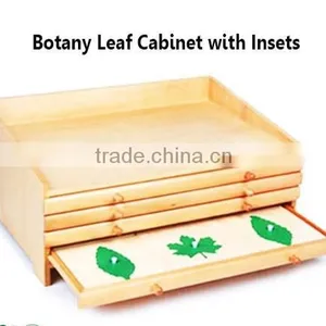 Montessori Materials Botany Leaf Cabinet With Insets/Montessori Educational Toys/Montessori Preschool Teaching Materials thumbnail-2