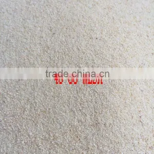 Dehydrated Garlic Powder thumbnail-3