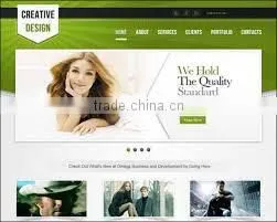 Website Design and Development thumbnail-1