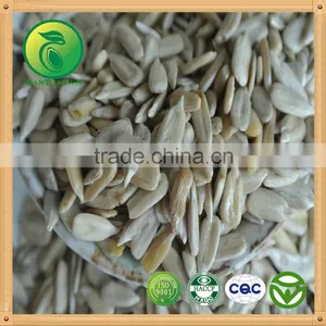 Sunflower Kernels Human Consumption thumbnail-1