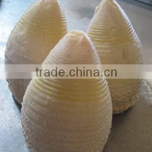 Hot Sell High Quality Natural Water Canned Bamboo Shoot to European,South American,Africa thumbnail-3