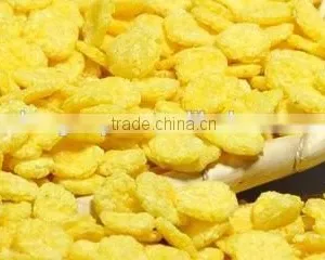 Automatic Wholesome Breakfast Cereal-Corn Flakes Production Line thumbnail-5