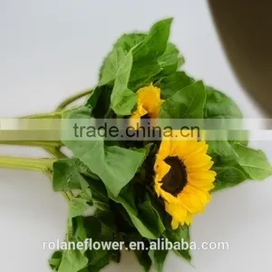 Most Popular Promotional Flower Wholesale Small Sunflower thumbnail-6
