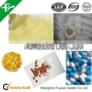 Medical/ Pharmaceutical Gelatin thumbnail-4
