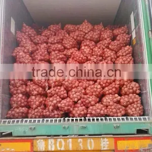 Chinese Red Onion Specification Fresh thumbnail-3