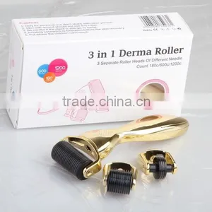Factory Sale CE Lowest Price Health Care Chengeable Heads Derma Roller Care Facial Kit for Sale thumbnail-5