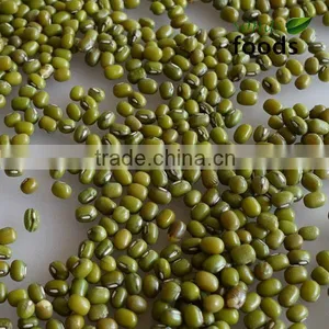 2013 Chinese Bulk Fresh Green Mung Bean For Sale thumbnail-1