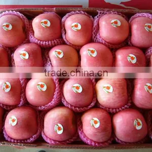 China New Season Fresh Fruit thumbnail-1