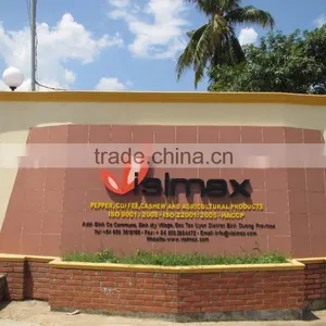 VIETNAM GREEN ROBUSTA COFFEE- EMAIL:EMILYTRAN@VISIMEX.COM thumbnail-5