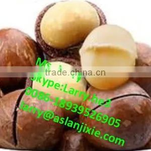 Bauple Nut Opener Machine/bauple Nut Opening Machine/bauple Nut Opener thumbnail-5