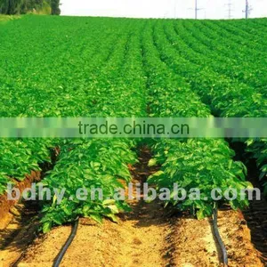 Drip Irrigation Tape With Double Line thumbnail-5