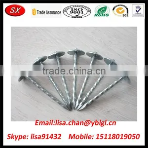 OEM/ODM Stainless Steel Roofing Nail With Umbrella Head thumbnail-4