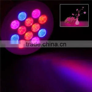 E27 12w Led Grow Light Red/bule Led Hydroponic Grow Light for Greenhouse Plants thumbnail-1
