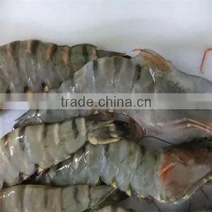 Frozen Uncooked Shrimp thumbnail-1
