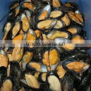 Frozen Mussel in Shell thumbnail-1