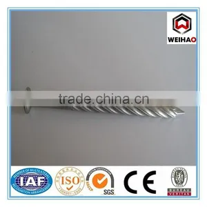 Good Quality Common Nail Iron Nail Factory thumbnail-3