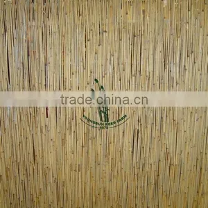 Reed Fence thumbnail-1