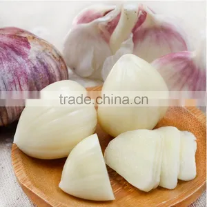 Best Price of Chinese Fresh Garlic thumbnail-3