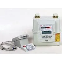 IC Card Prepay Gas Meter G1.6 thumbnail-1