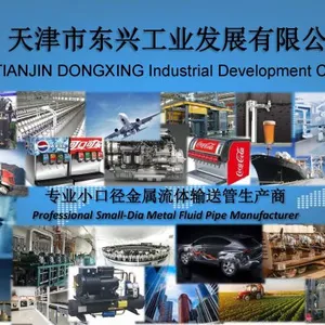 Tianjin DONGXING Industrial Development Co., Ltd. company overview - view 1 thumbnail