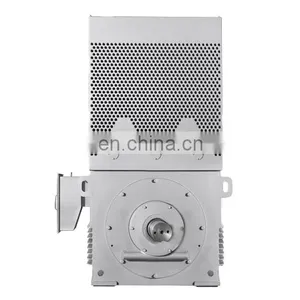 Siemens Brand Big Power 6.6KV High Efficiency Induction Motor thumbnail-2