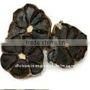 Black Garlic thumbnail-1