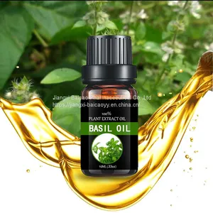 Factory Supply Basil Oil Body Skin Care Basil Essential Oil thumbnail-2