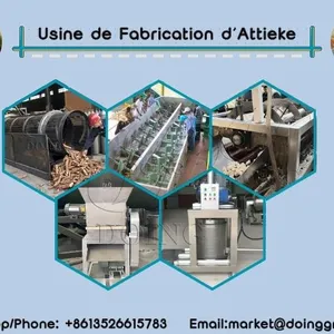 New Condition Cassava Attieke Processing Units Cassava Processing Machine Boyeur-Epucheur for Attieke Production for Sale thumbnail-1