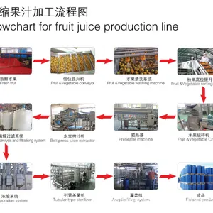 Large Capacity Industrial Vacuum Evaporator Tomato Paste Concentration Juice Concentrator Equipment thumbnail-6