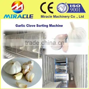 The Solution of Sorting the Dry Garlic Clove Grader and Sorter Machinery thumbnail-1