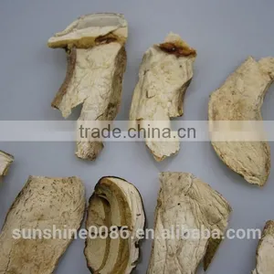 High Quality High Quality Dried Boletus Mushroom in Yunnan thumbnail-4