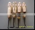 Shoe Stretcher thumbnail-1